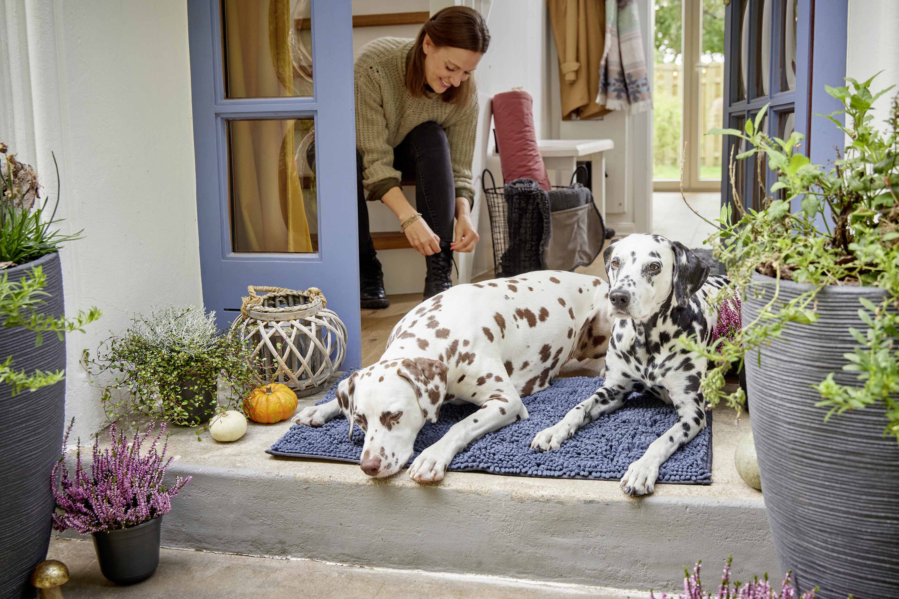 Cleankeeper Doormat, Dirty Dog Doormat blau