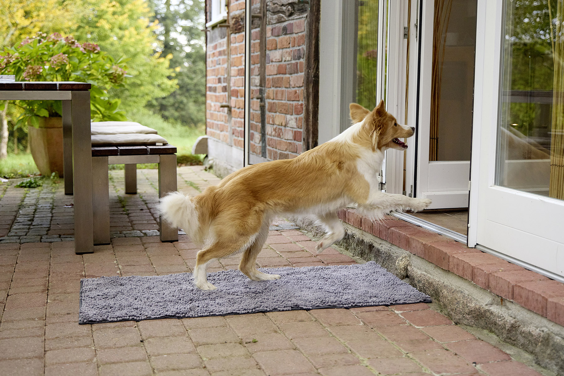 Cleankeeper Runner, Dirty Dog Doormat Runner (2 Farben)