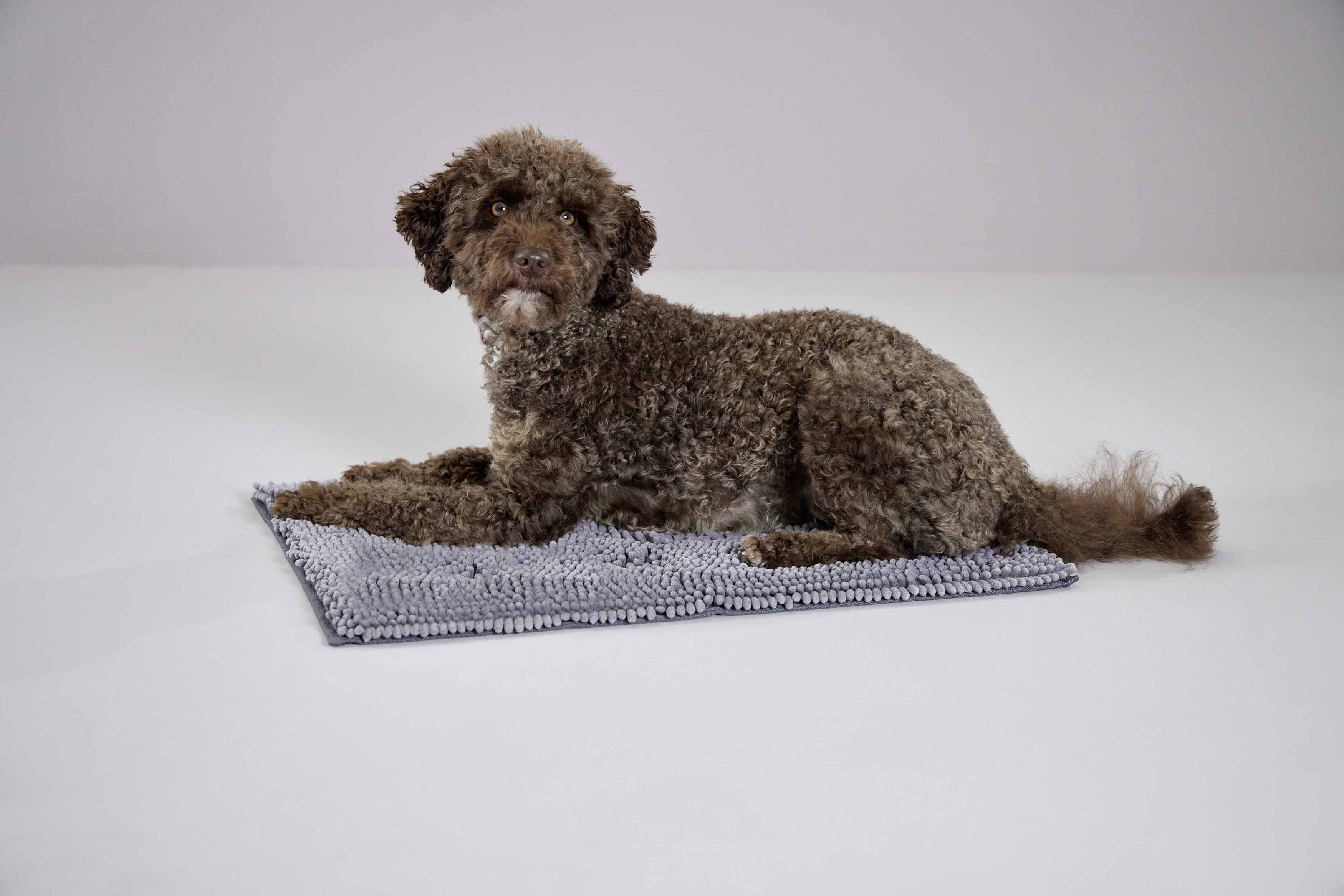 Cleankeeper Doormat, Dirty Dog Doormat hellgrau