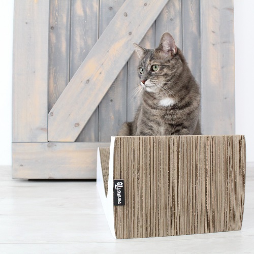District 70 DOUBLE WAVE Cardboard