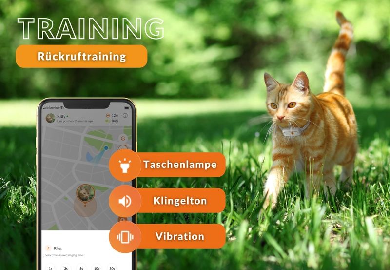 Weenect XS Weiß| Mini GPS Tracker für Katzen