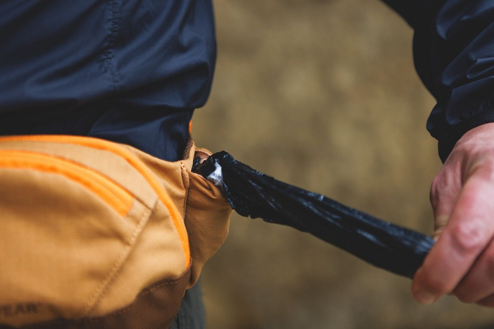 Home Trail™ Hip Pack Hüfttasche, Bauchtasche Brown Bear 