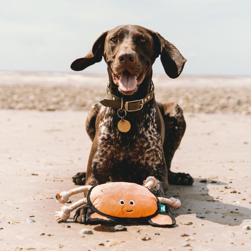 Beco Plush Toy - Krabbe, Krebs Large Plüschspielzeug