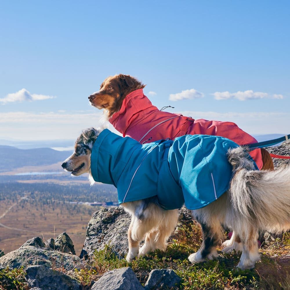 Hurtta Expedition Parka II Hundemantel