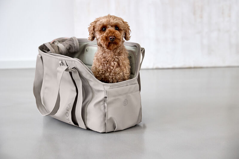 Hundetasche - Weda, Taupe