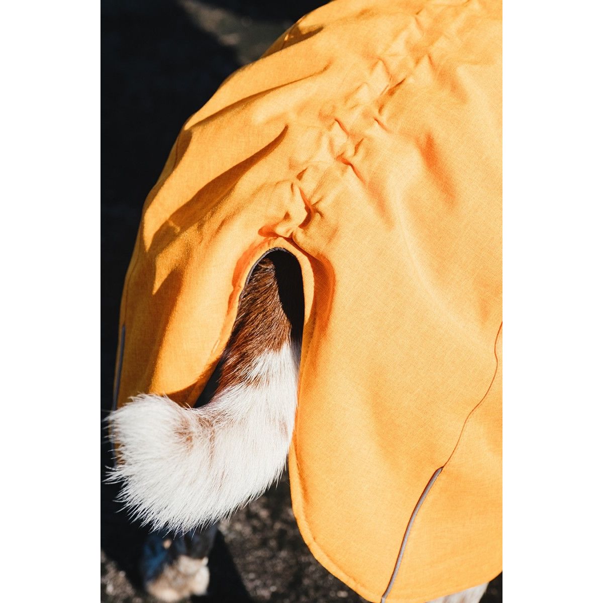 Hurtta Expedition Parka