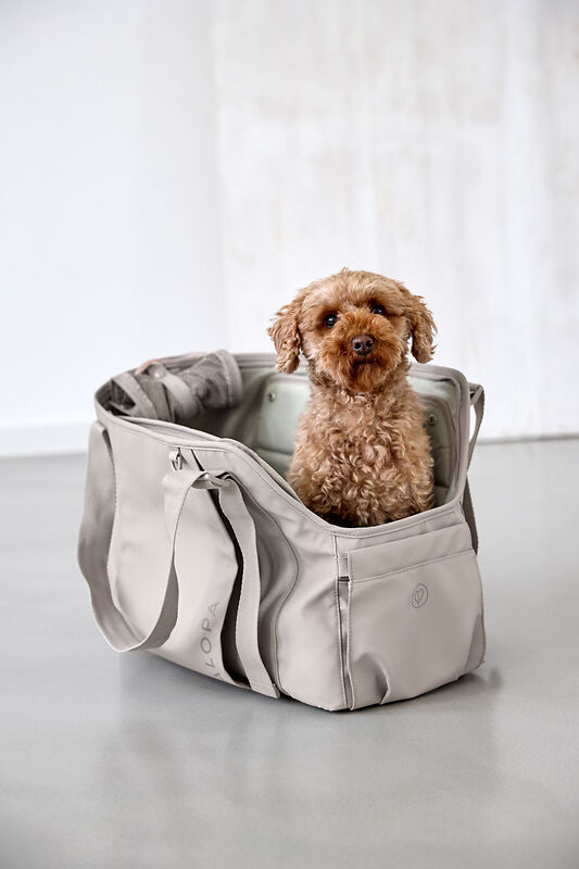 Hundetasche - Weda, Taupe