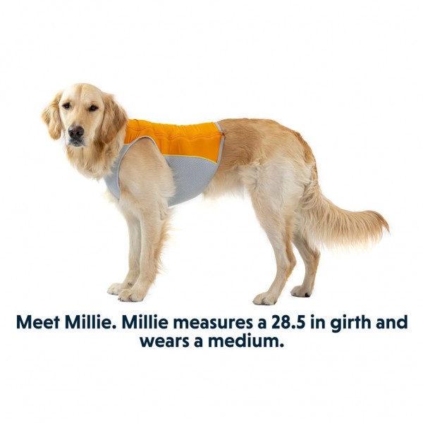 Jet Stream™ Kühlweste für Hunde Ruff Wear Farbe Orange Größe Small